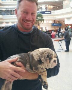 english bulldog puppies