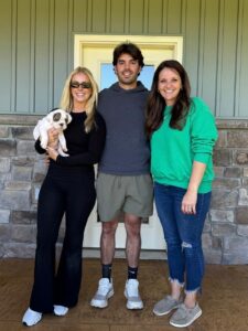 english bulldog puppies