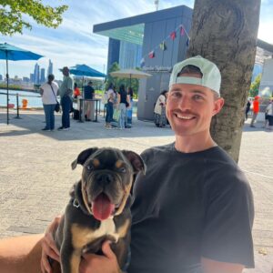 English Bulldog Puppies