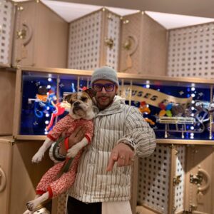 English Bulldog Puppies