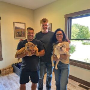 English Bulldog Puppies