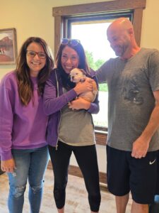 English Bulldog Puppies