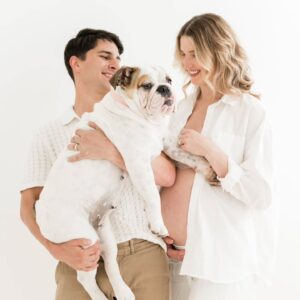 English Bulldog Puppies