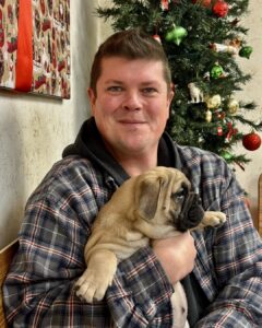 English Bulldog Puppies