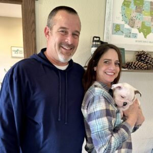 English Bulldog Puppies