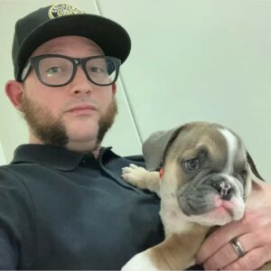 English Bulldog Puppies