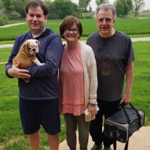 English Bulldog Puppies