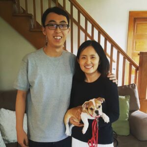 English Bulldog Puppies