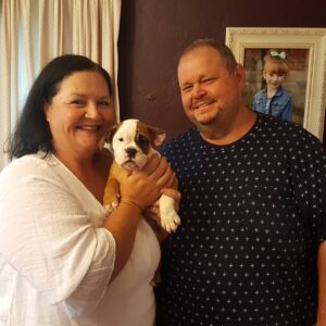 English Bulldog Puppies