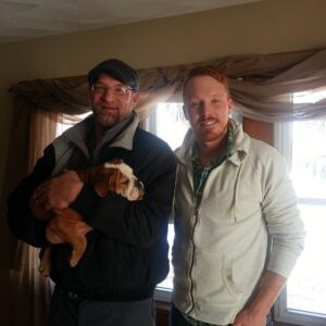 English Bulldog Puppies