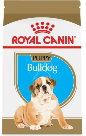 h Bulldog Best Food For English Bulldog Puppy Royal Canin