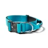 5cm Combat Collar | With Handle & Secure Clip - Light Blue