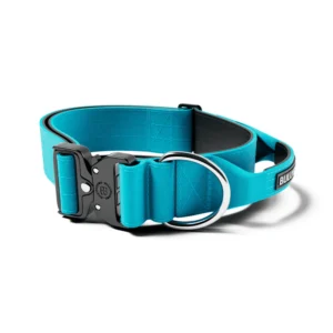 5cmCombatCollarwHandle-LightBlue_Shot1 5cm Combat Collar | With Handle & Secure Clip - Light Blue