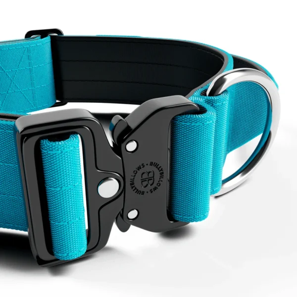 5cm Combat Collar | With Handle & Secure Clip - Light Blue