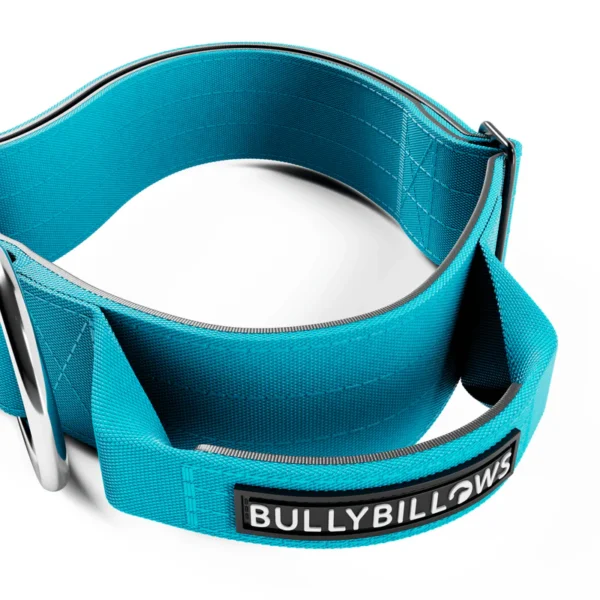 5cm Combat Collar | With Handle & Secure Clip - Light Blue