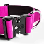 5cm Combat Collar - Image 4