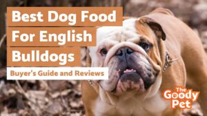 Best dog food for english bulldogs new arrivals