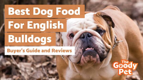 Best dog food for english bulldogs new arrivals