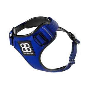 BLUE_256_2 Comfort Premium Harness | Non Restrictive - Blue