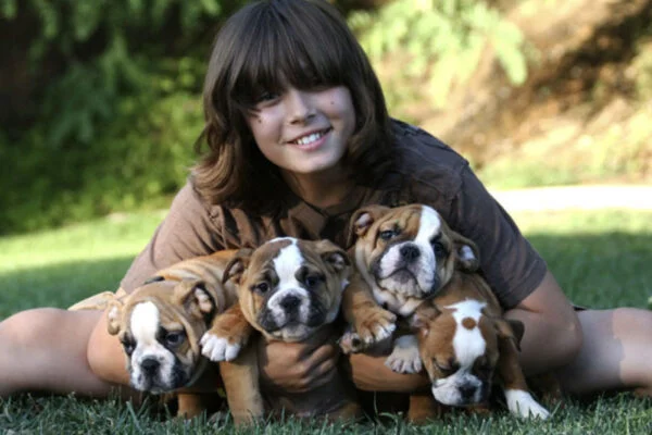 Mario walker English Bulldog Puppies