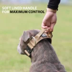 5cm Combat Collar | With Handle & Secure Clip - Light Blue - Image 3