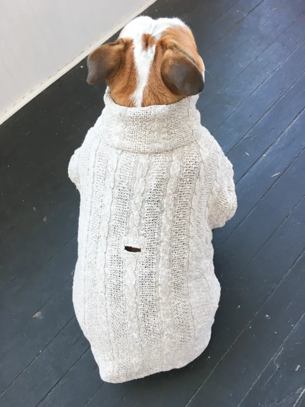 English Bulldog Sweater, apparel, short sleeved with harness opening