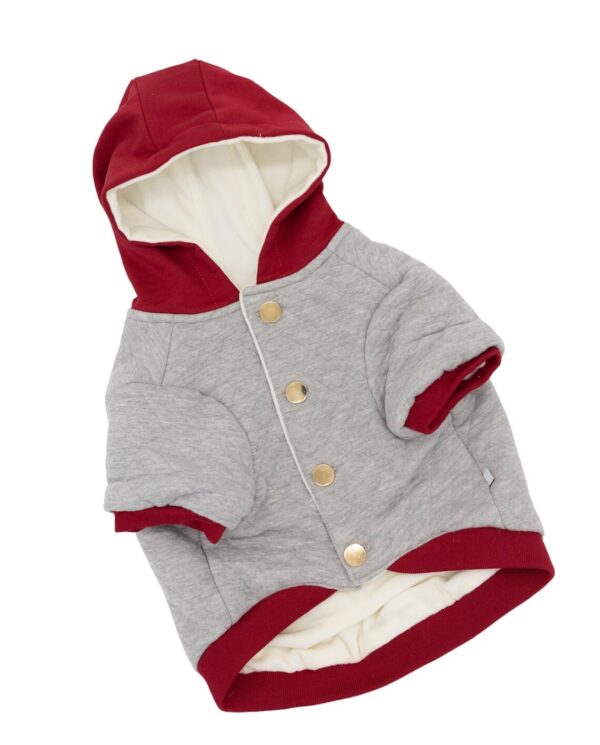 Warm French Bulldogs Hoodie