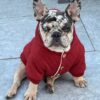 Warm French Bulldogs Hoodie