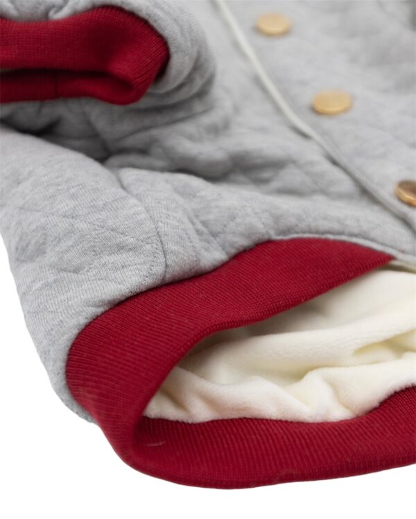 Warm French Bulldogs Hoodie