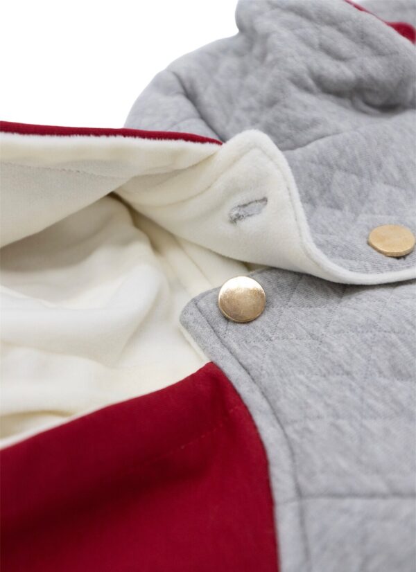 Warm French Bulldogs Hoodie