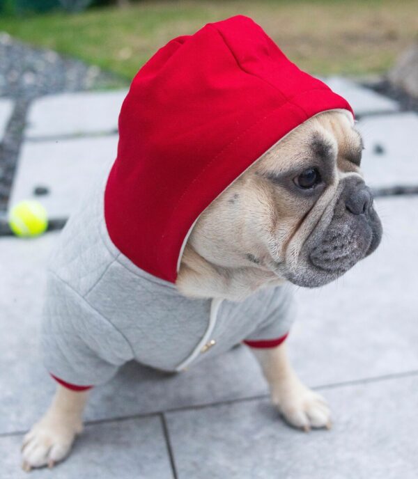 Warm French Bulldogs Hoodie