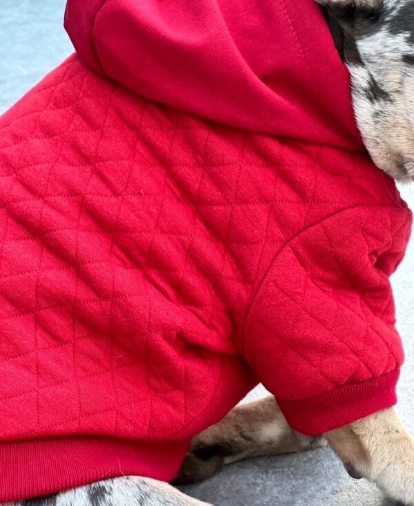 Warm French Bulldogs Hoodie