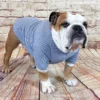 Tshirt, English bulldog apparel, long sleeved