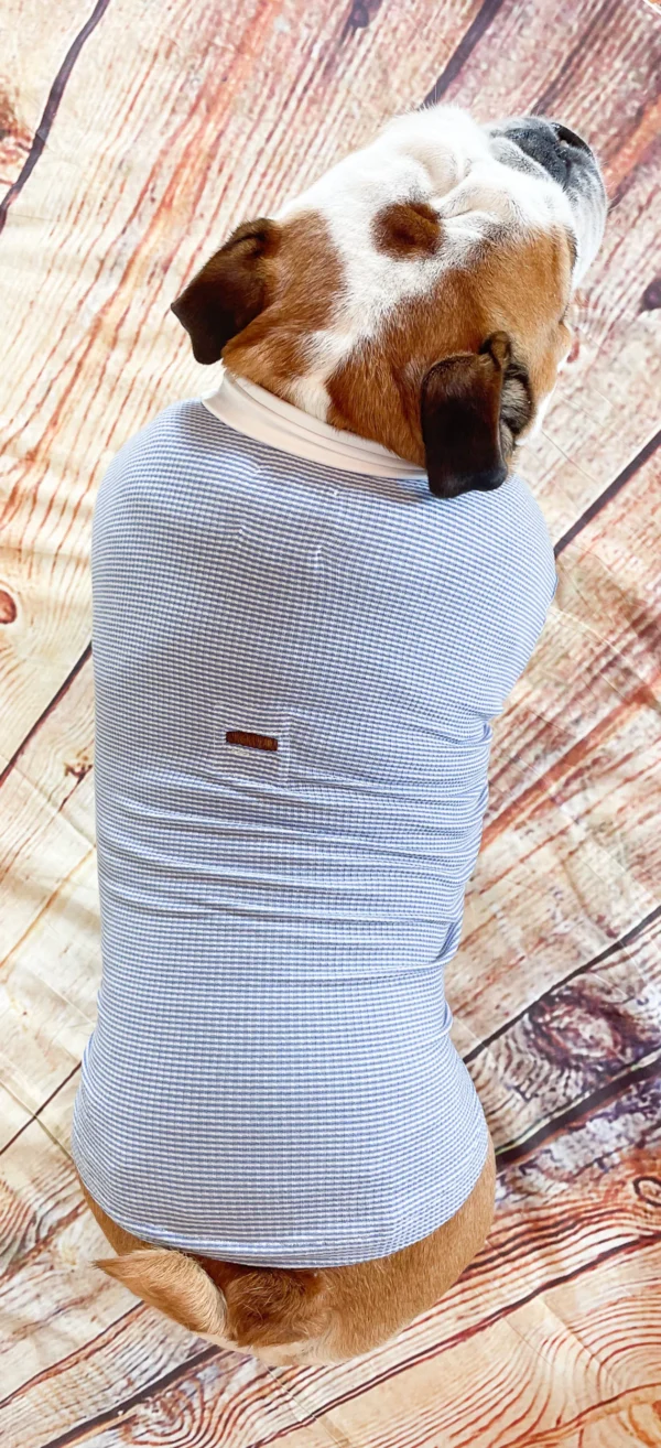 Tshirt, English bulldog apparel, long sleeved