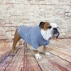 Tshirt, English bulldog apparel, long sleeved