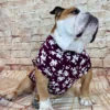 English Bulldog T-shirt, apparel, garment with harness opening