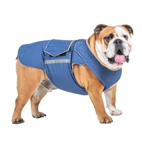 English Bulldog Winter Dog Coat