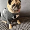 Hand-made Knitted Dog Sweater