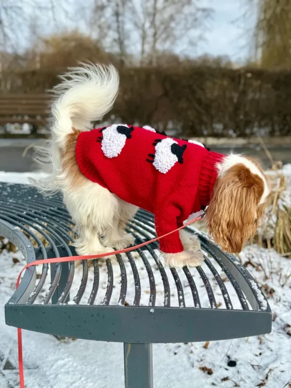 Hand-made Knitted Dog Sweater