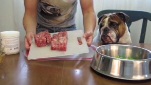 Best food for english bulldog puppy hotsell