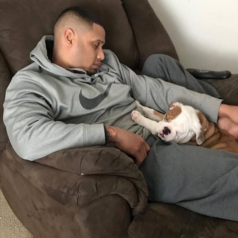 Home | mariowalkersbullies.com Mario walker English Bulldog Puppies