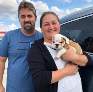 Mario walker English Bulldog Puppies