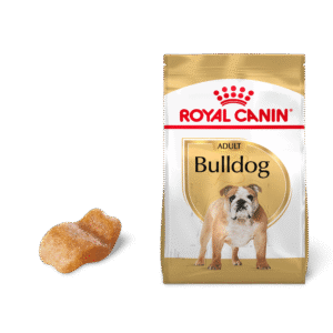English Bulldogge Best Food For English Bulldog Puppy Best Food
