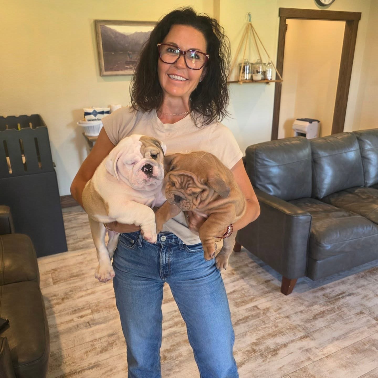 English Bulldog Puppies