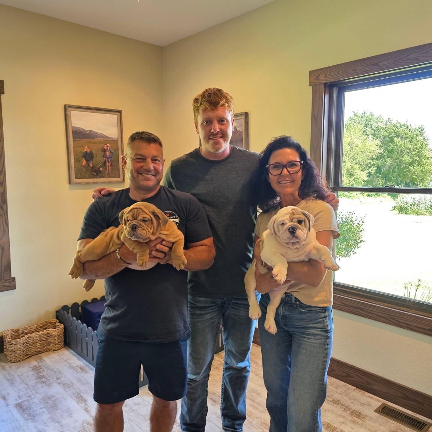 English Bulldog Puppies