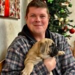 English Bulldog Puppies
