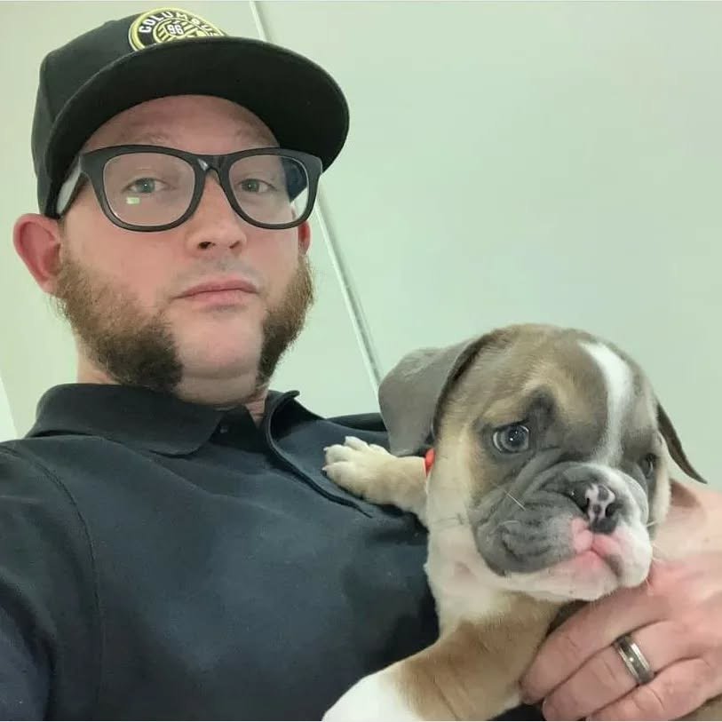 English Bulldog Puppies