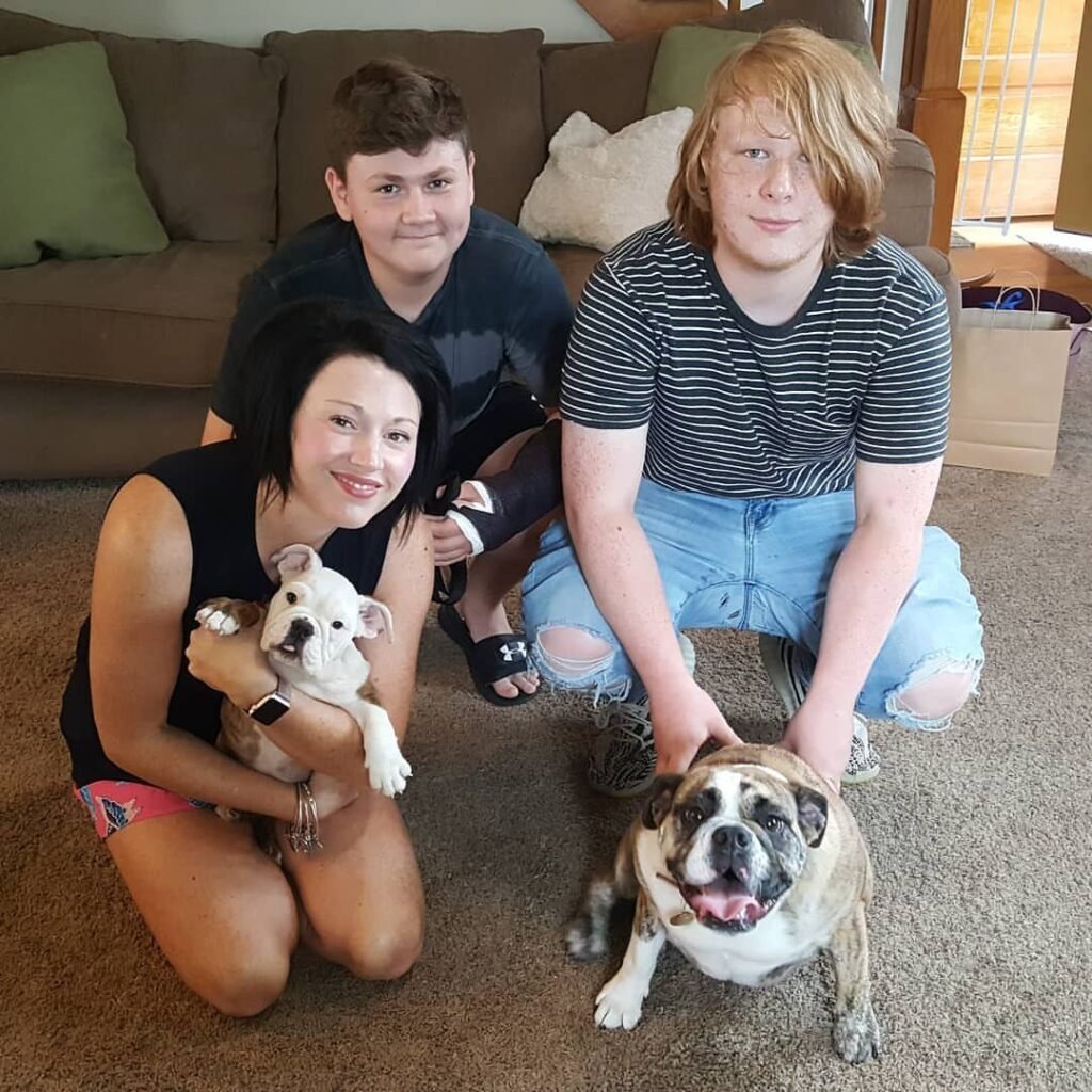 English Bulldog Puppies