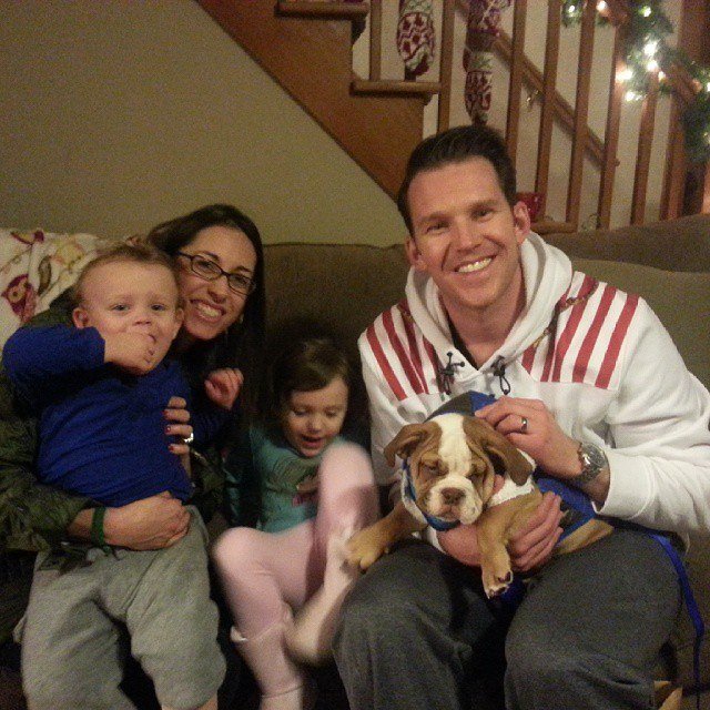 English Bulldog Puppies