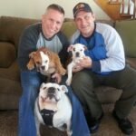 English Bulldog Puppies